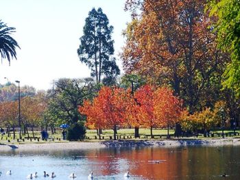 Otoño