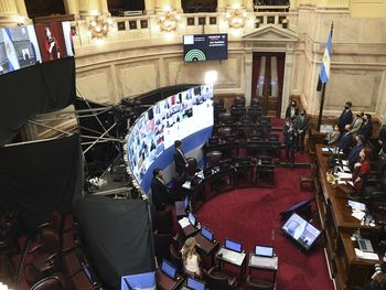 Las tres primeras leyes que aprobó el Senado a distancia en medio de la pandemia de coronavirus