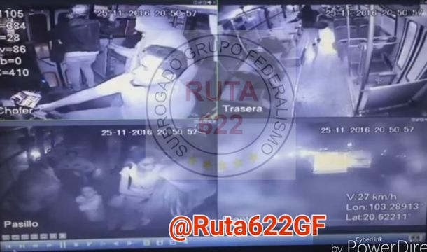 La mujer que se hizo viral por defender a un colectivero de un delincuente