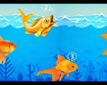 Test viral: el pez que elijas en la imagen revelará cómo te ven los demás