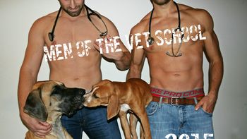 el calendario sexy de veterinarios el calendario sexy de veterinarios