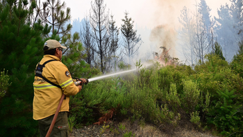 incendios en la patagonia: como quedo el parque nacional los alerces incendios en la patagonia: como quedo el parque nacional los alerces