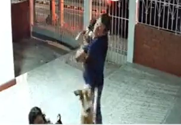 Se les había perdido el perrito pero regresó: el video de la reacción de toda la familia