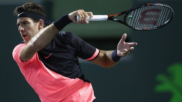 Del Potro cuidará el físico en sus próximos torneos