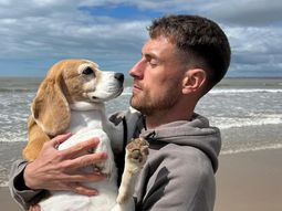 reconocido futbolista europeo ofrece una fortuna por su perra perdida en mexico reconocido futbolista europeo ofrece una fortuna por su perra perdida en mexico