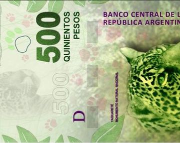 El yaguareté del billete de $500 está en peligro de extinción: quedan 220