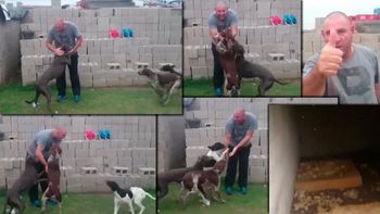 vengan a ver como tengo a mis perros vengan a ver como tengo a mis perros