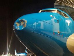 susto en el aire: un pajaro golpeo a un avion en pleno vuelo y lo abollo susto en el aire: un pajaro golpeo a un avion en pleno vuelo y lo abollo