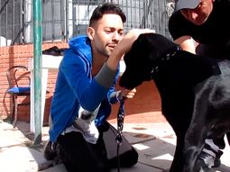 el reencuentro con su perra tras cuatro meses el reencuentro con su perra tras cuatro meses