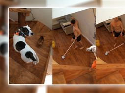 lo sorprenden limpiando y bailando lo sorprenden limpiando y bailando