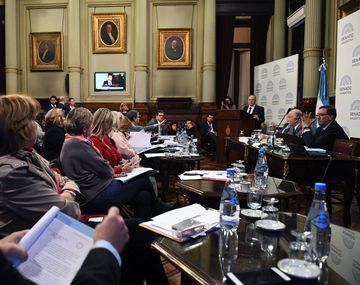 No hubo dictamen y el 8 de agosto se definirá qué proyecto de aborto legal se vota
