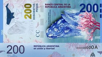 el intendente de puerto madryn ratifico que la ballena en el billete de 200 pesos esta mal el intendente de puerto madryn ratifico que la ballena en el billete de 200 pesos esta mal