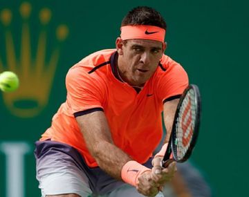 Del Potro cayó ante Goffin