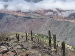 El destino para conocer una de las joyas arqueológicas argentinas El destino para conocer una de las joyas arqueológicas argentinas