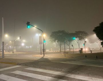 Alerta por niebla en el AMBA: cuándo se irán las neblinas