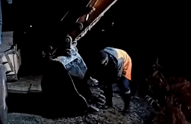 Increíble rescate de un perro que iba a morir congelado en un lago de Rusia