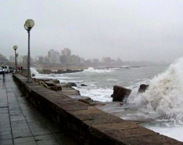 Caídas de árboles y voladura de postes por fuertes vientos en Mar del Plata