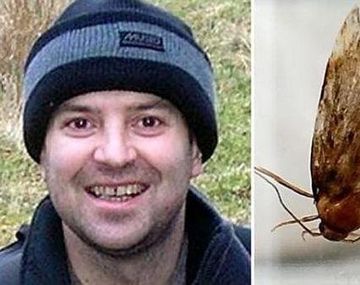 A un hombre le sacan una polilla de la cabeza después de tres días y estaba viva