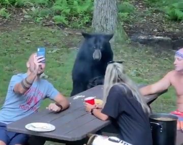 Se encontraron con un oso amigable y le dieron de comer