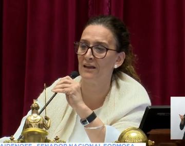 Otro exabrupto de Michetti en plena sesión por el aborto: Es un pel....