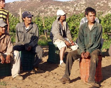 Trabajadores mexicanos son los que más sufren la explotación laboral