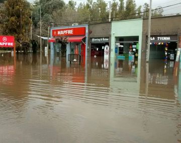 Oficializan beneficios para contribuyentes afectados