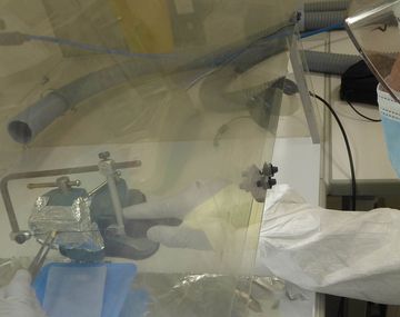 Científicos del CONICET descubrieron un linaje genético propio de Argentina