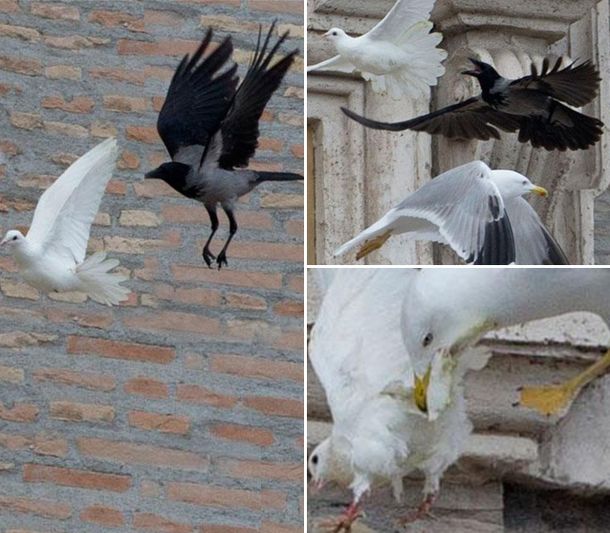 Las fotos del fallido gesto de paz del papa Francisco