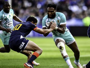 Los Pumas cayeron ante Sudáfrica en la despedida antes del Mundial de Rugby