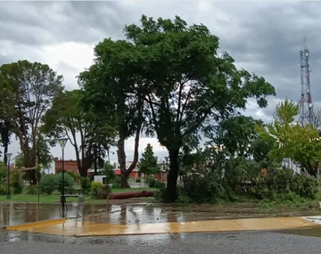 Fuertísimo temporal causó estragos en San Luis: inundaciones