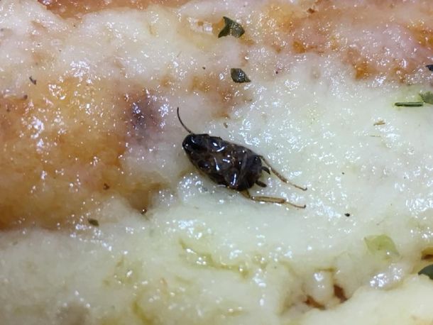 Encontraron una cucaracha en una pizza de La Farola - Crédito: Faceook Rodrigo Ostan