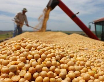 Vicepresidente del BCRA: Esto no es un dólar-campo