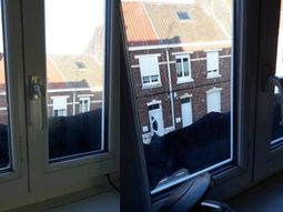 Una pantera salió a pasear por los techos de un poblado en Francia y fue sensación