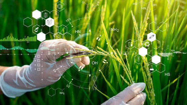 LAB+ cerrará su primera ronda de inversión en Uruguay.