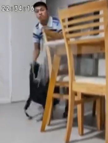 Video: desvalijaron una casa en Trelew, quedaron escrachados y siguen libres