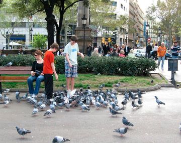 Domingo espectacular con temperaturas agradables