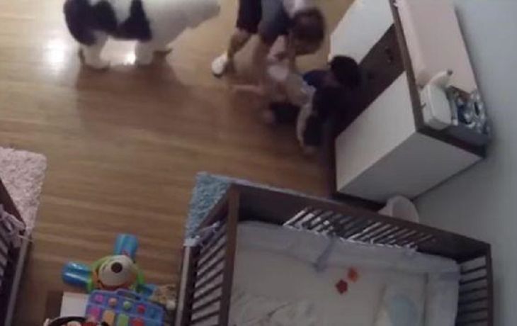 Tras el milagro, los hermanos fueron filmados junto a su perro