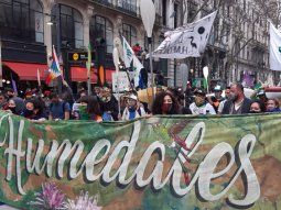 Una multitud marcha al Congreso para exigir la sanción de la Ley de Humedales: Está cajoneada desde noviembre