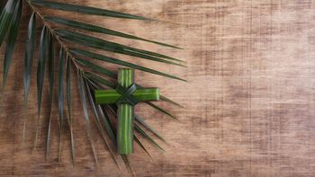 Checa las mejores imágenes del Domingo de Ramos. Checa las mejores imágenes del Domingo de Ramos.