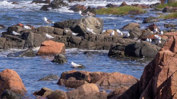 La zona rocosa de La Colorada es ideal para pescar. La zona rocosa de La Colorada es ideal para pescar.