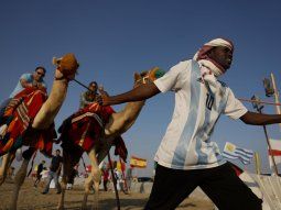 Preocupación por el virus del camello: podría haber brotes tras el Mundial de Qatar 2022