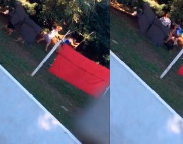 Denuncian a una vecina por maltratar a los 40 perros que tiene en su casa