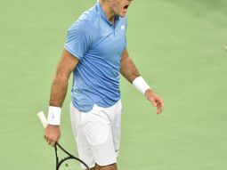 Del Potro vs. Ivo Karlovic Del Potro vs. Ivo Karlovic