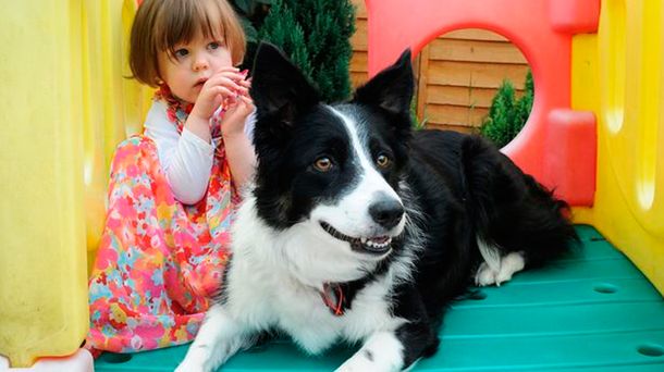 Gracias a su perra, descubrieron que su hija tiene cáncer