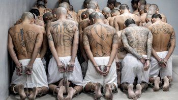 daniel sabsay critico el aumento de penas previsto en la reforma del codigo penal: salvajismo daniel sabsay critico el aumento de penas previsto en la reforma del codigo penal: salvajismo