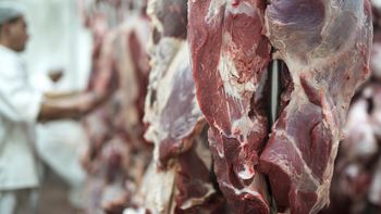 En el gobierno esperan que el viaje de Lacalle Pou en noviembre le de un nuevo impulso a las exportaciones de carne a China. En el gobierno esperan que el viaje de Lacalle Pou en noviembre le de un nuevo impulso a las exportaciones de carne a China.