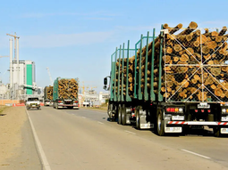 UPM exportará su primer embarque de celulosa a finales de mayo. UPM exportará su primer embarque de celulosa a finales de mayo.