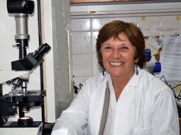 Crean un insecticida saludable para el medio ambiente