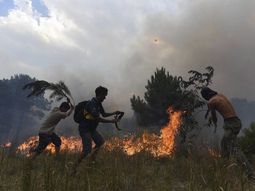 Evacuaron a vecinos y hay un bombero herido en Cariló