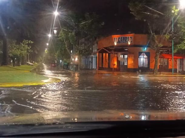 Fotos y videos: un feroz temporal de viento, lluvia y granizo azotó a Bolívar